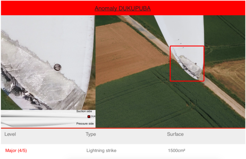 Sample anomaly detected by the Sterblue software from drone images